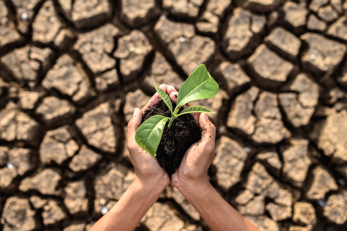 Le changement climatique et son impact sur les températures et les précipitations