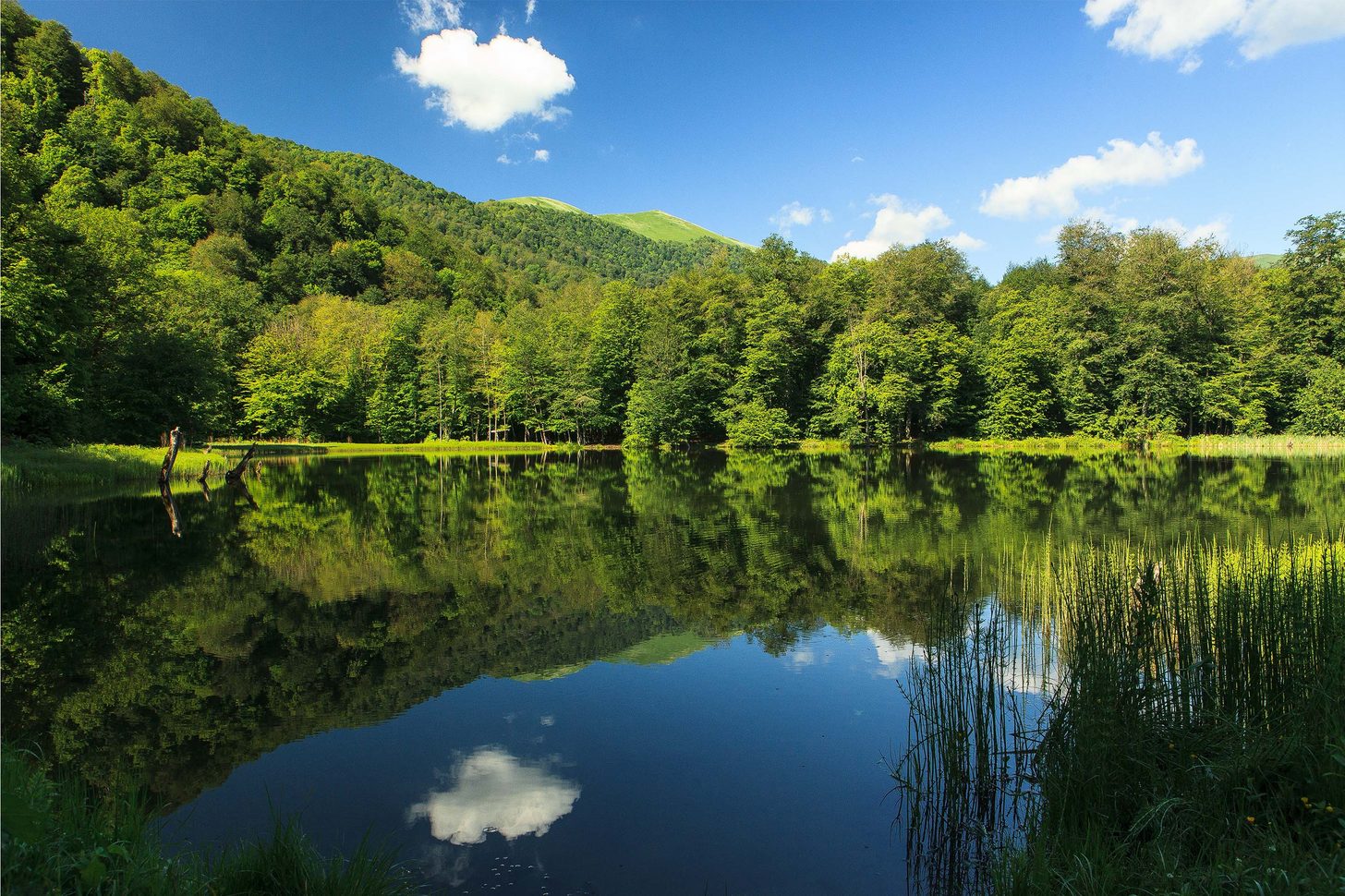 Paysage lac
