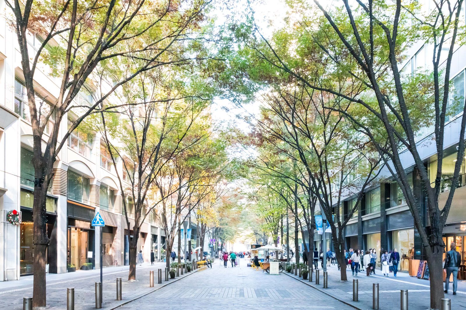 Immobilier mixte