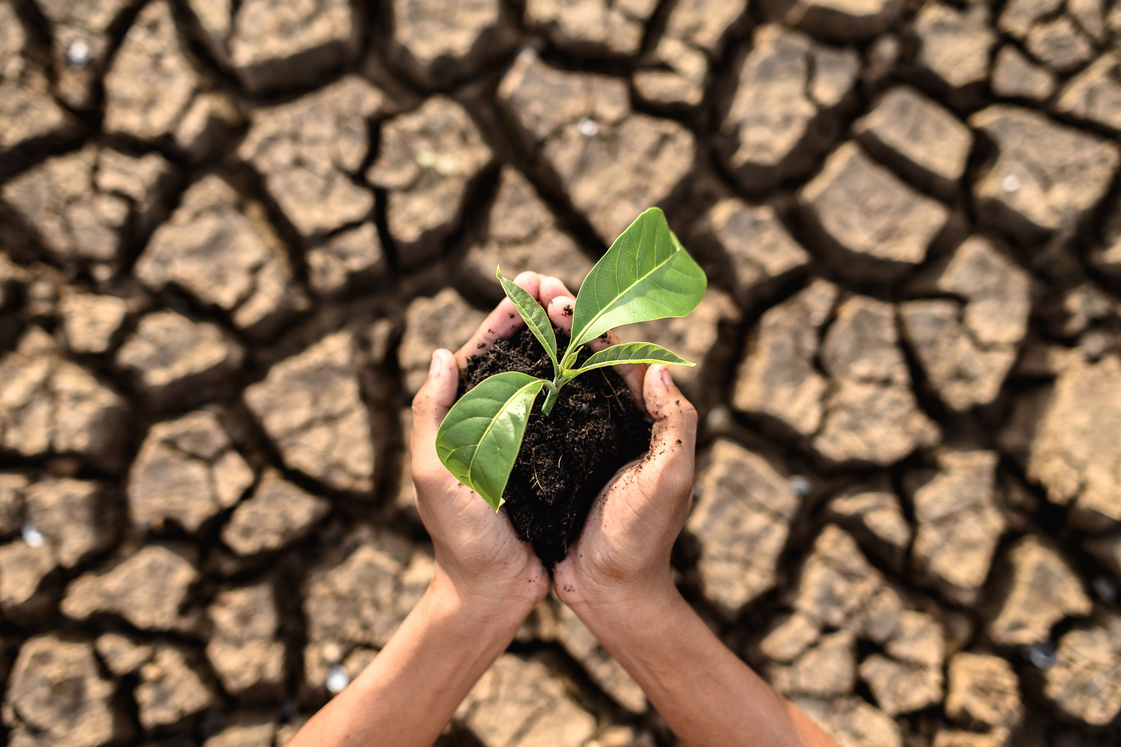 Le changement climatique et son impact sur les températures et les précipitations